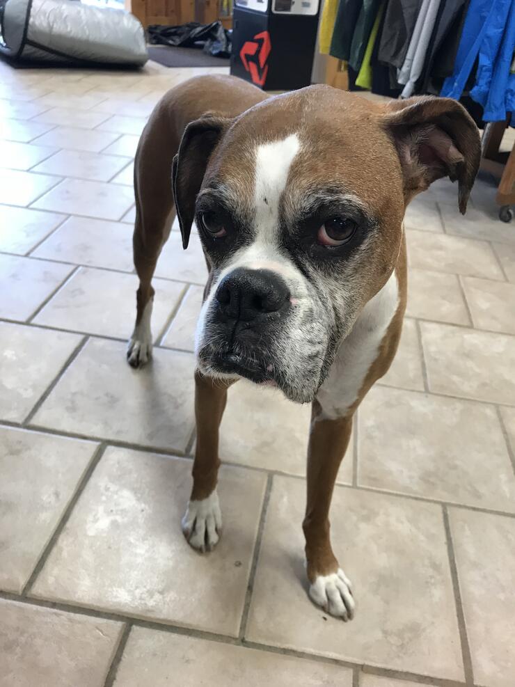 Gear Up Sudbury's Outdoor Stores Northern Ontario Travel